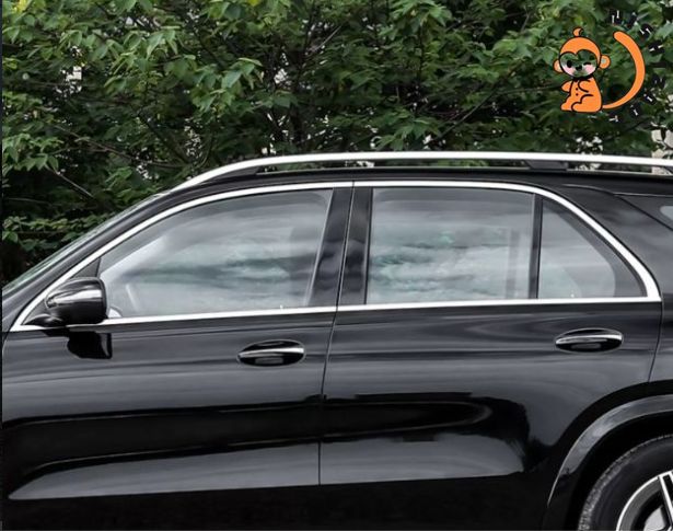 メルセデス ベンツ GLEクラス W167 2019年-２色選択 サイド ドアウィンドウ デコレーション フレームトリム ステンレス 8Pセット FFCRYSTALESIA_COM