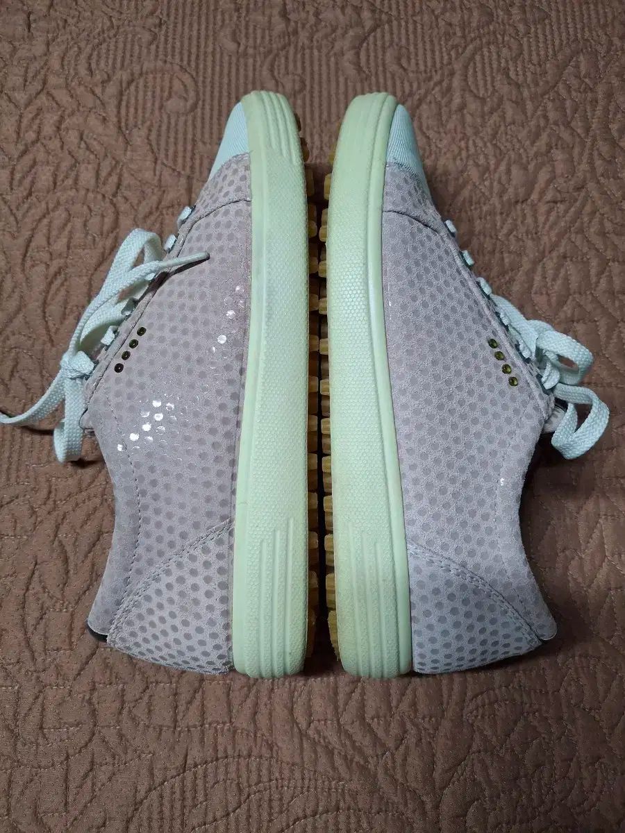 240 Ecco