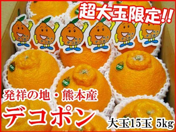 熊本デコポン JA熊本果実連 超大玉15玉 約5kg 柑橘 贈答用 品ではございません