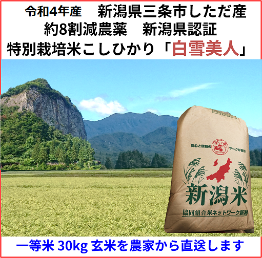 ワケあり】令和４年産・新潟県産コシヒカリ約30kg 玄米 #02 - 米