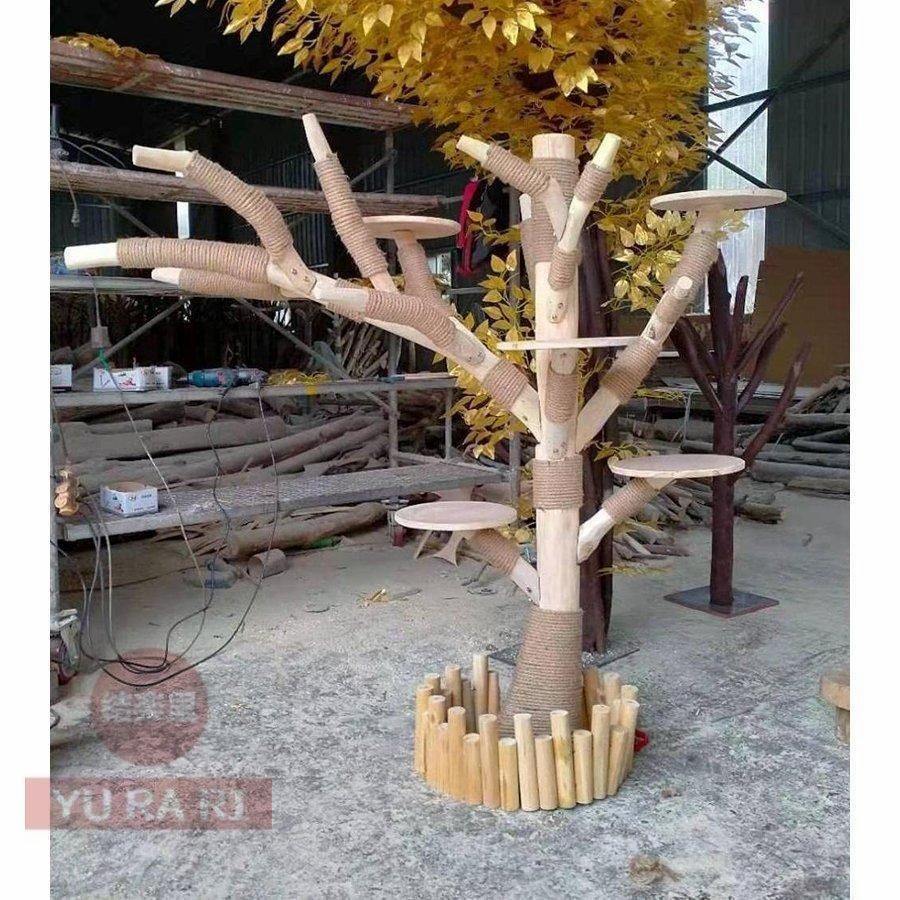 猫の木
