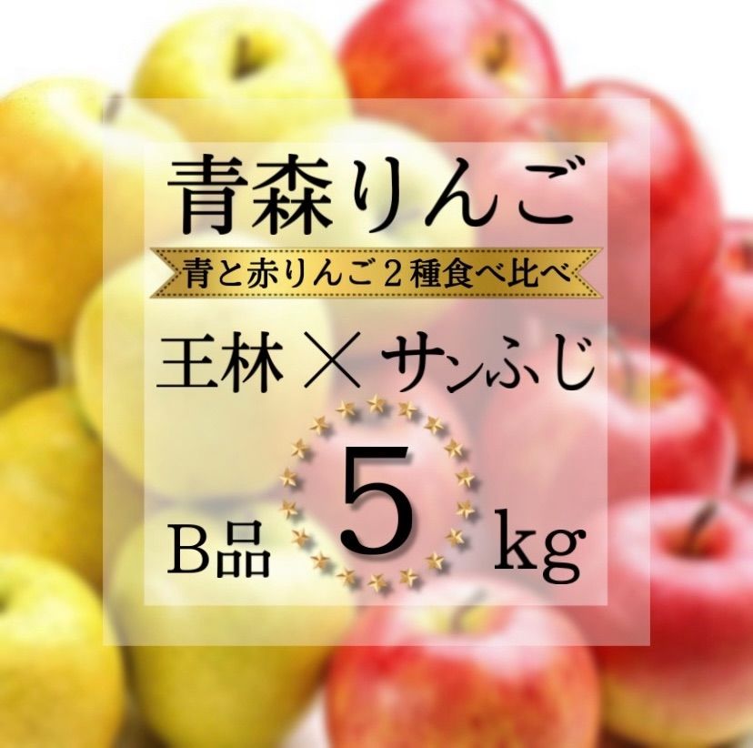 プチギフト 青森県産 サンふじ りんご 家庭用 5kg 農家直送 送料無料