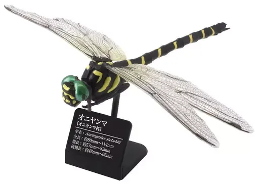 2025年最新】原色 オニヤンマの人気アイテム - メルカリ