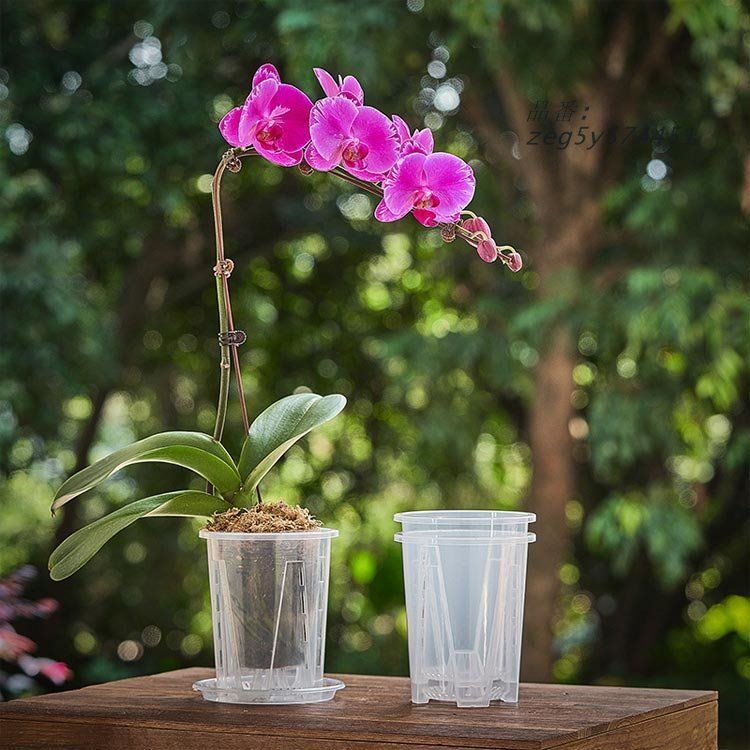 植木鉢　鉢　　陶器　　胡蝶蘭　　4点 植木鉢 胡蝶蘭専用 プラスチック 蝶蘭 10鉢セット 植木鉢 オー