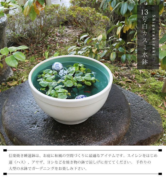 信楽焼 陶器 水鉢 メダカ鉢 金魚鉢 睡蓮鉢 13号白カスミ水鉢 su-0253