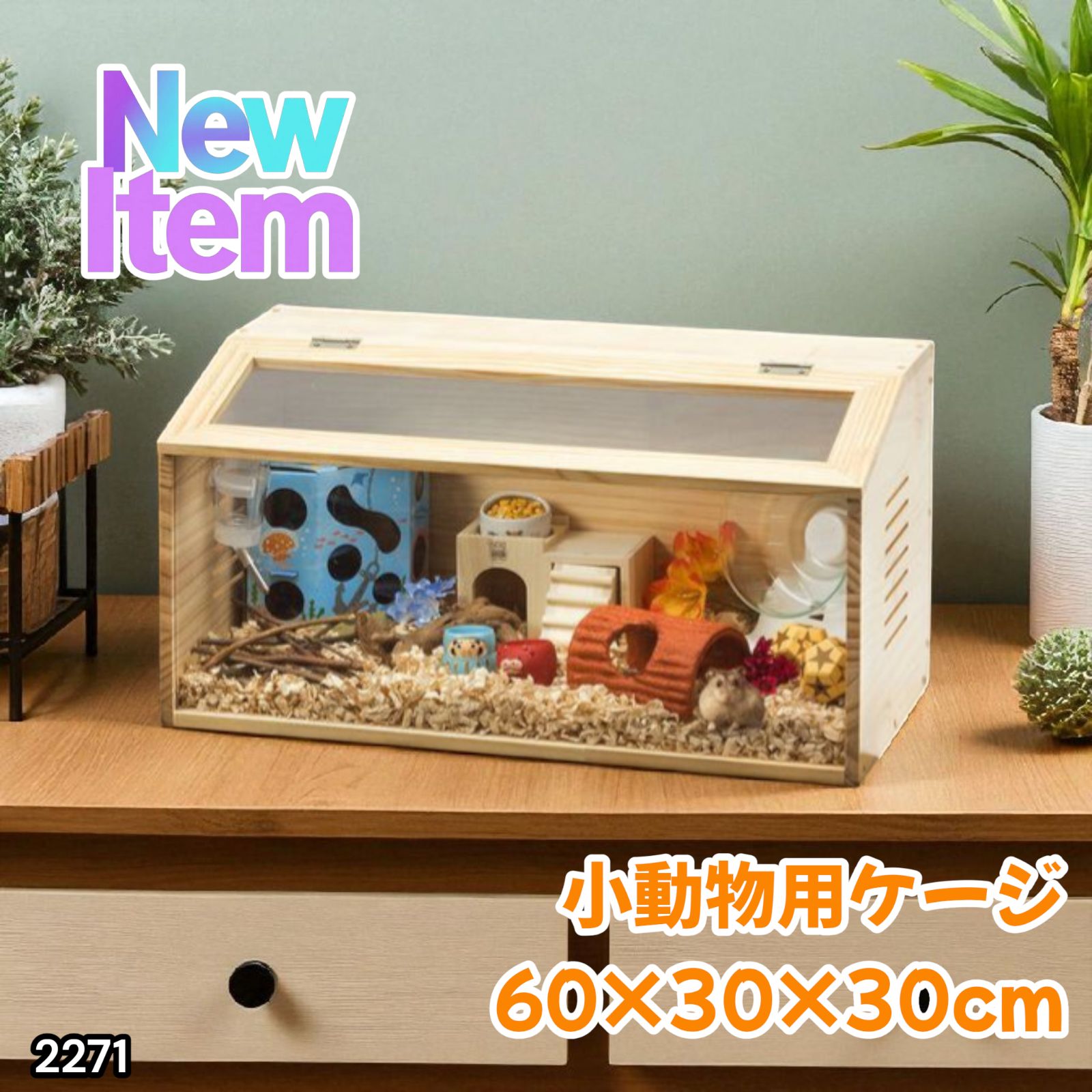 トゥルースリーパー True Sleeper 驚福箱 2025 シングル