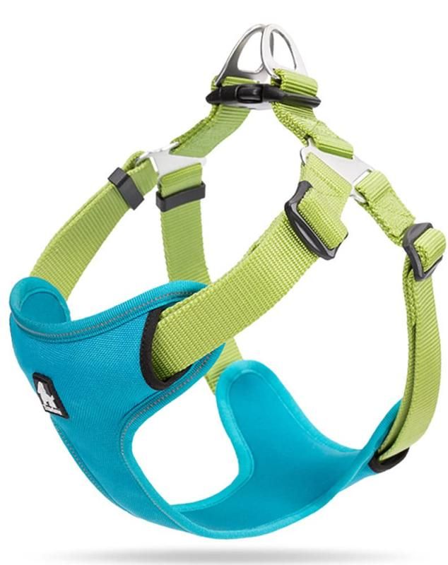 cocomall TRUE LOVE専門販売店 犬用ハーネス 犬用胴輪 ドッグ ペット用品 ハーネスリード 3M反射材料 訓練 ナイロン製 小型犬、中型犬、大型犬に向け 通気性 調節可能 (L， ブル