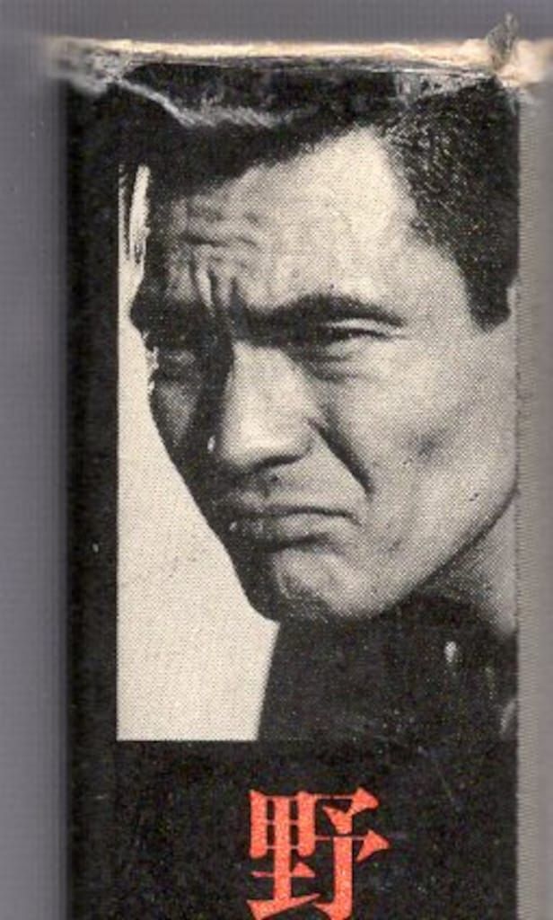 菅原文太 野良犬の怨念 芳賀書店