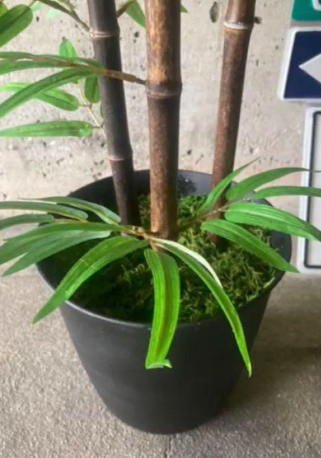 光触媒 人工観葉植物 ウォールグリーン フェイクグリーン 黒竹@ad