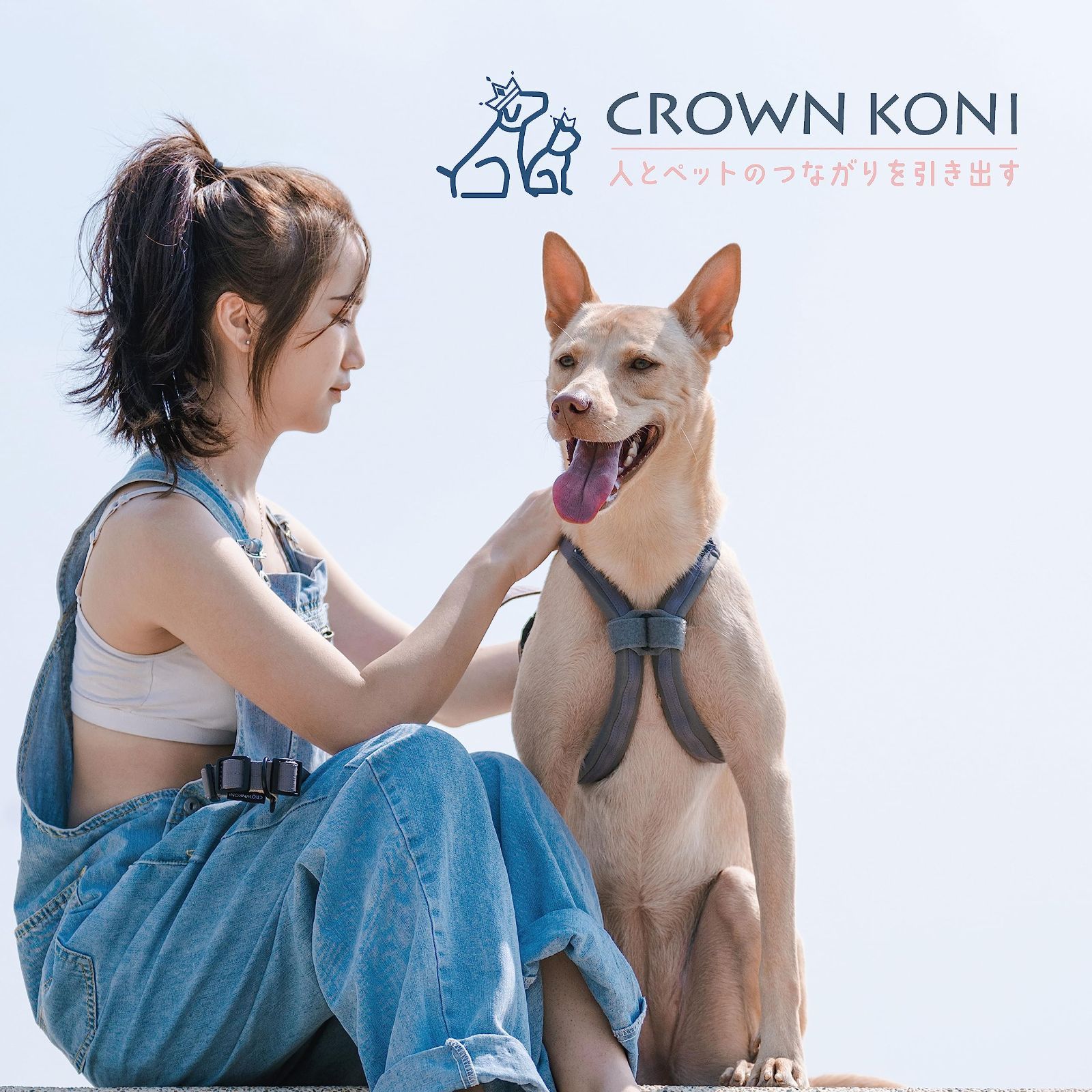 CROWN KONI 犬 ハーネス 気管虚脱 防止 小型犬 (ブラック、S 【在庫