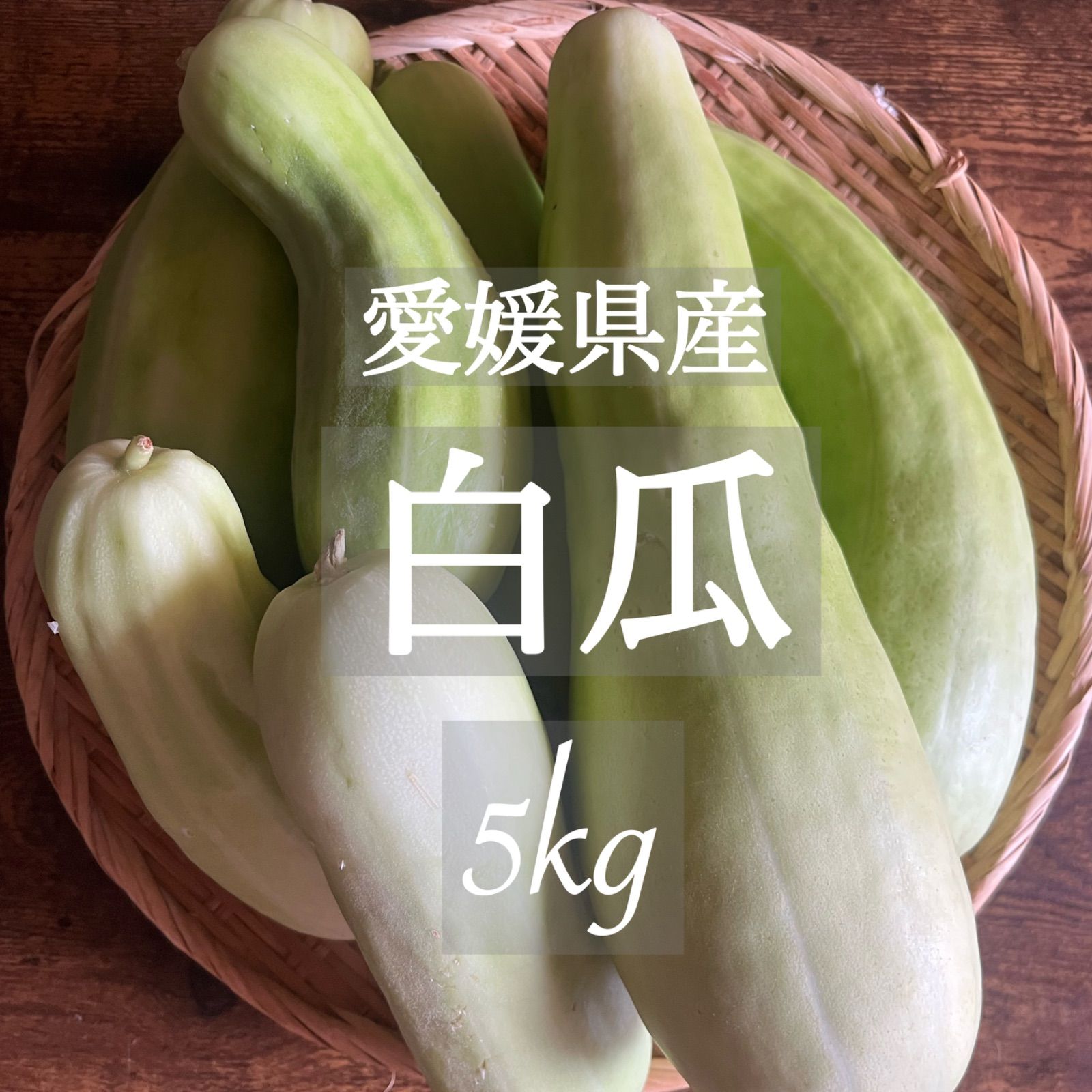愛媛県産 農薬不使用 自然栽培 白瓜 5kg - メルカリ