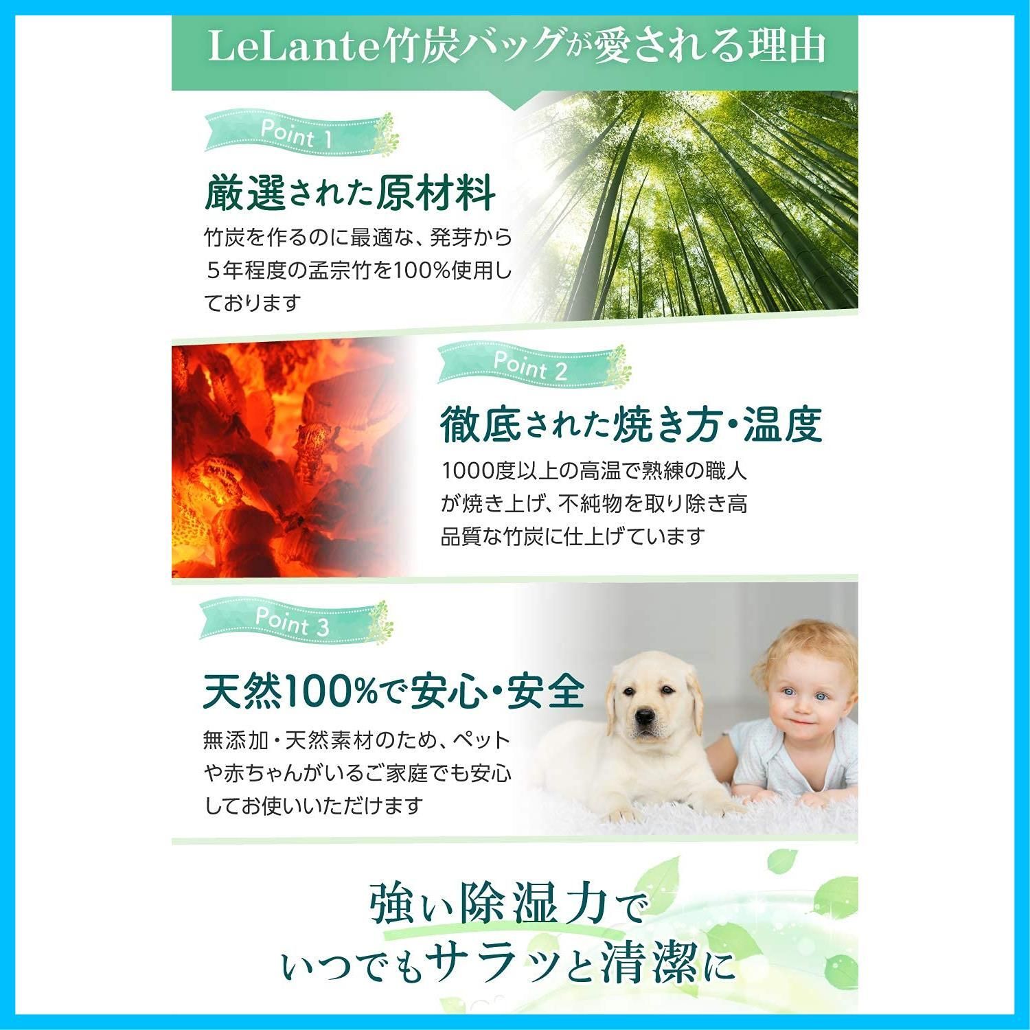 消臭剤 靴箱 繰り返し使用可 竹炭 除湿 消臭 グレー 靴 整理収納アドバイザー推薦 WWW_IBETON_RU