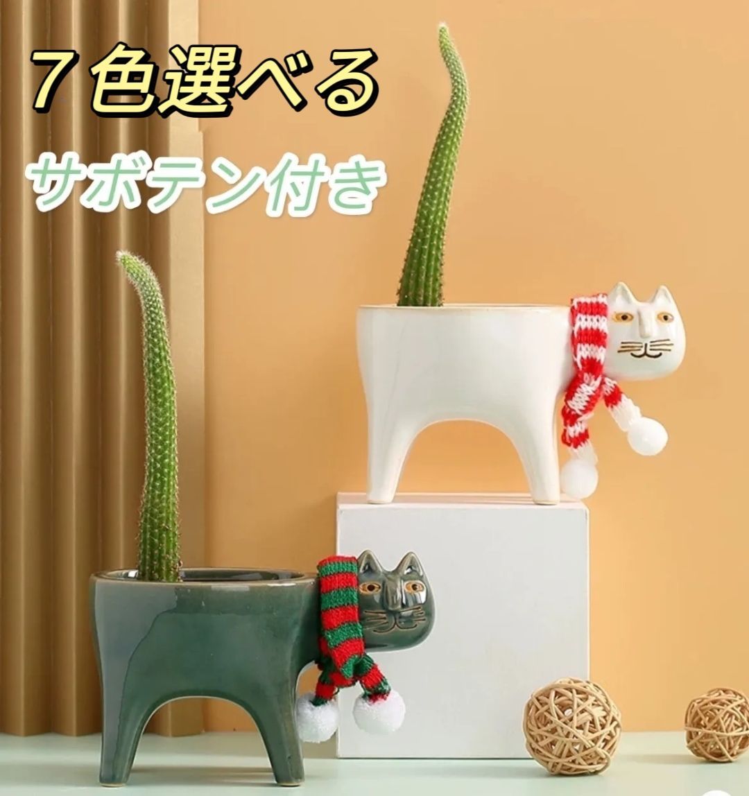 陶器鉢 植木鉢 プランター 多肉植物 かわいい おしゃれ猫の尾 サボテン付き - メルカリ