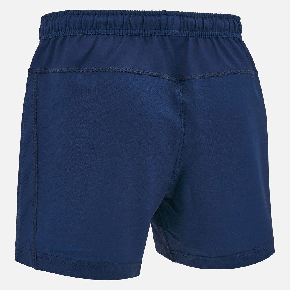 公式モデル 日本未発売