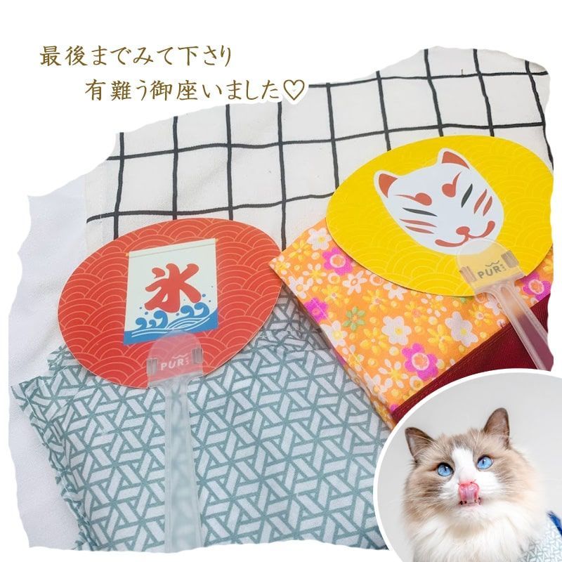 犬 夏 浴衣 猫 はっぴ うちわ付き 犬 猫 夏 夏服 浴衣 甚平 花柄 和柄