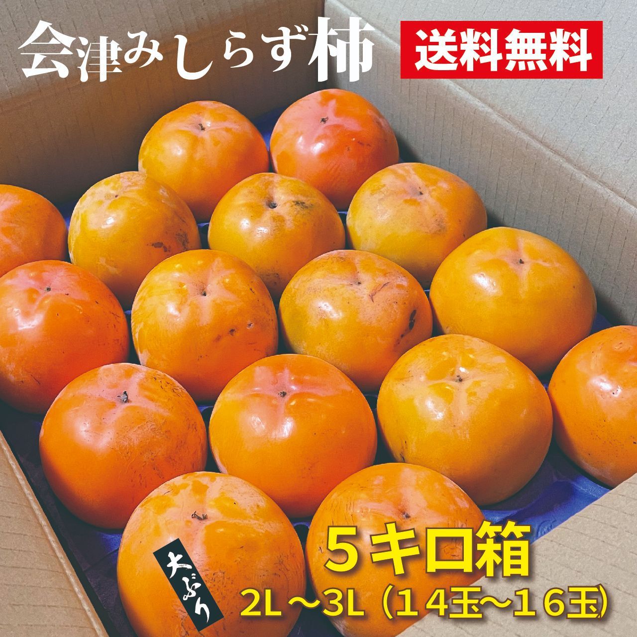 会津みしらず柿 5キロ箱 大ぶり2L～3Lサイズ 14玉～16玉 会津産渋抜き済