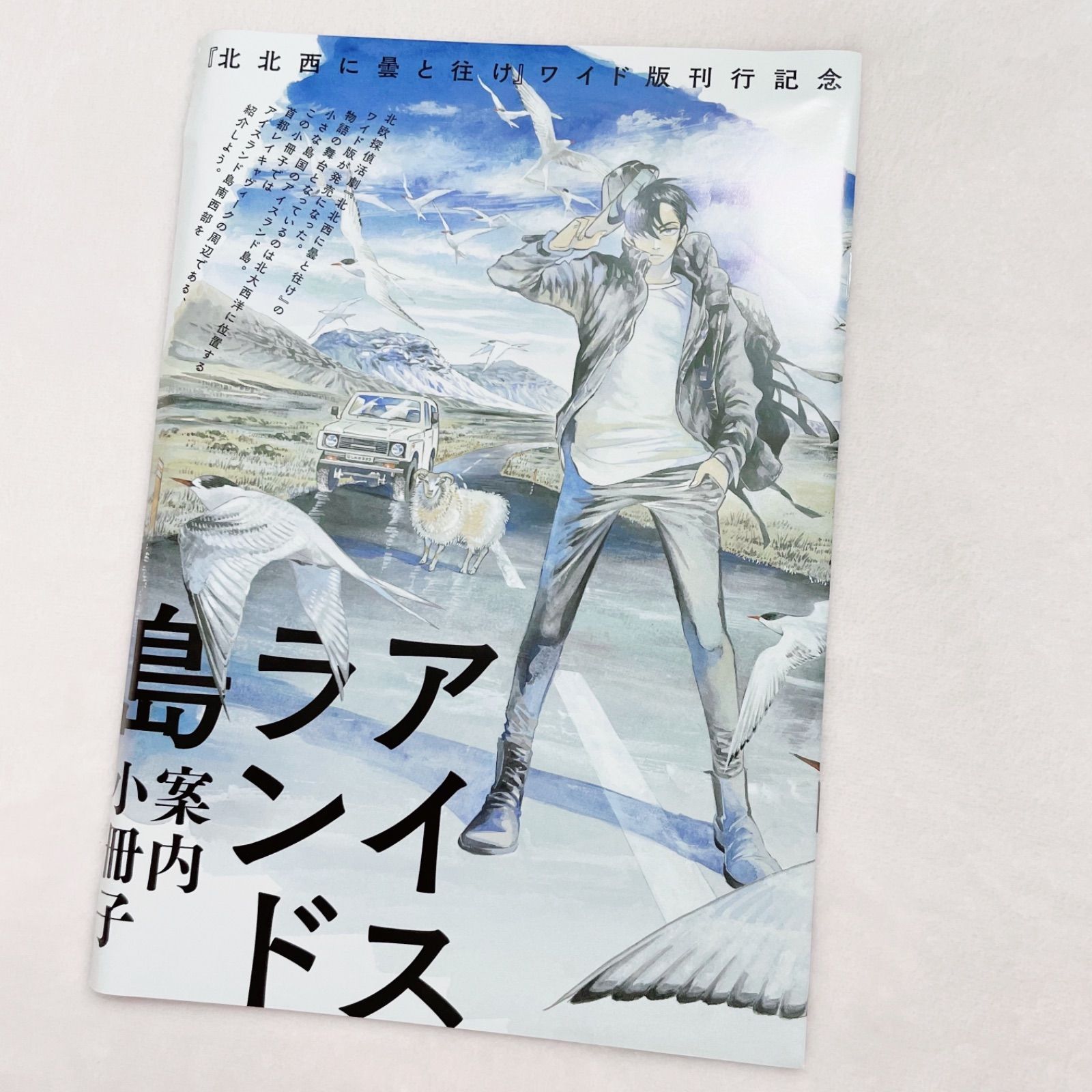 3000P還元中】北北西に曇と往け ワイド版 １〜５巻 全巻セット - メルカリ