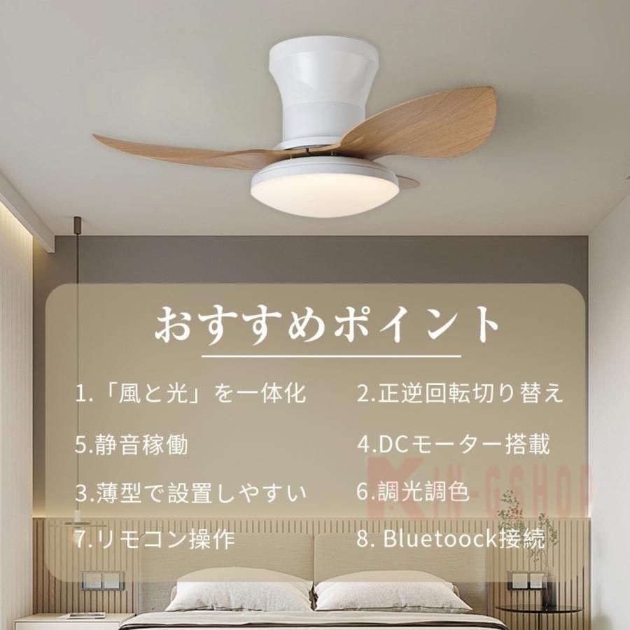 ファン付き照明 天井照明