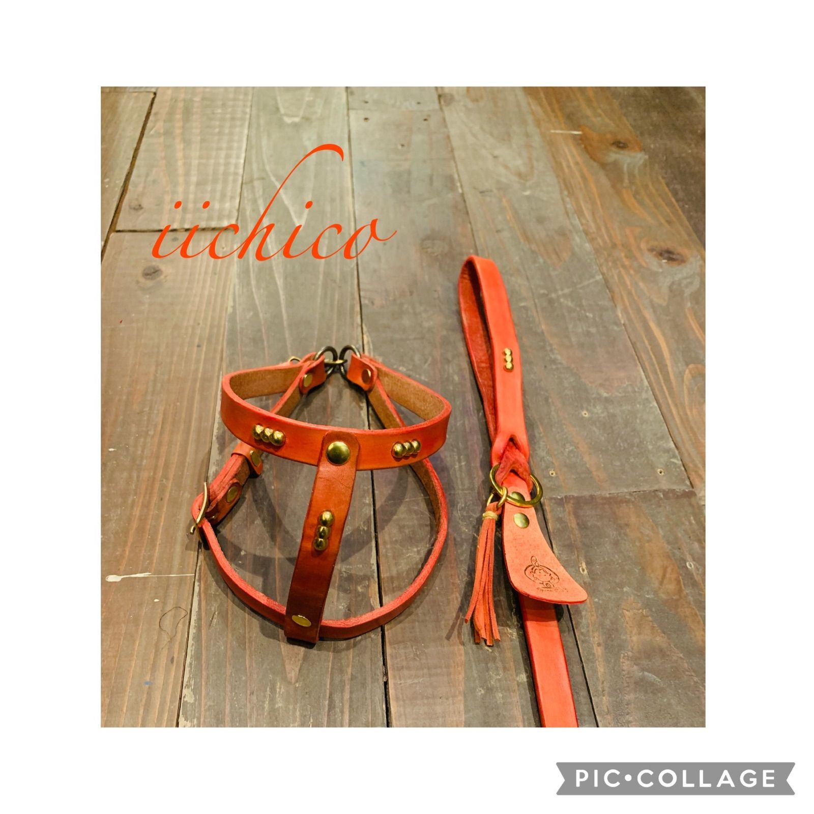 手染めstudsリード＆ハーネス2点SET❗️orange 小売業者 SALE❣️