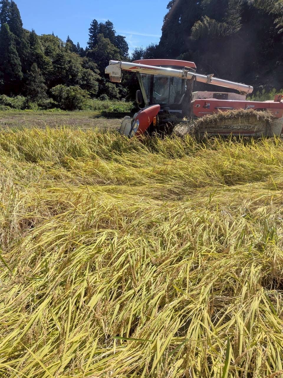 令和7年産新潟県長岡市栃尾産コシヒカリ中米