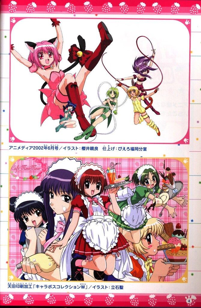 公式ファンBOOK 帯付