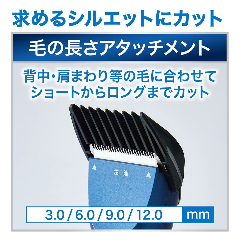 レギュラー