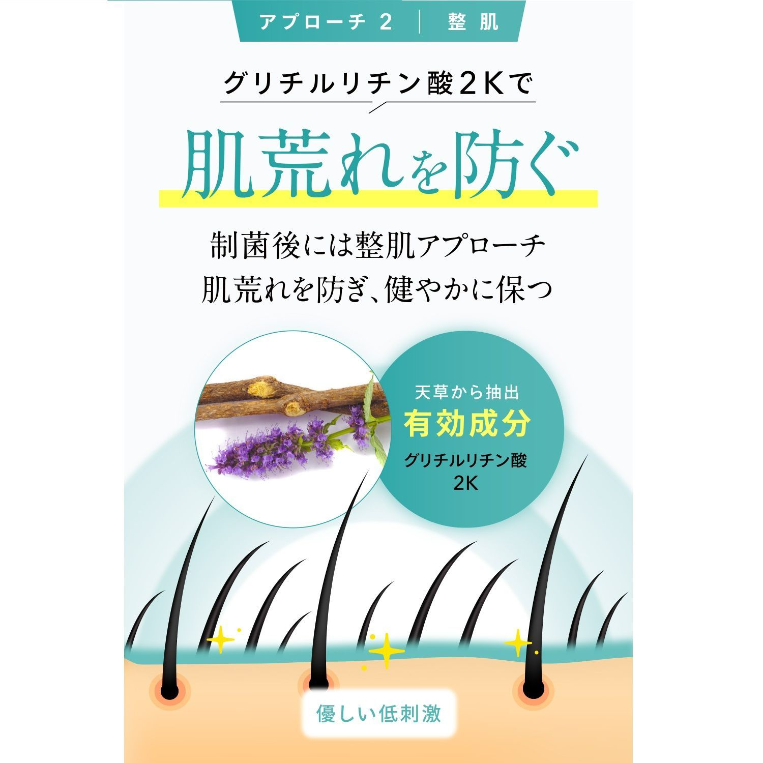 薬用スカルプシャンプー＆トリートメントセット