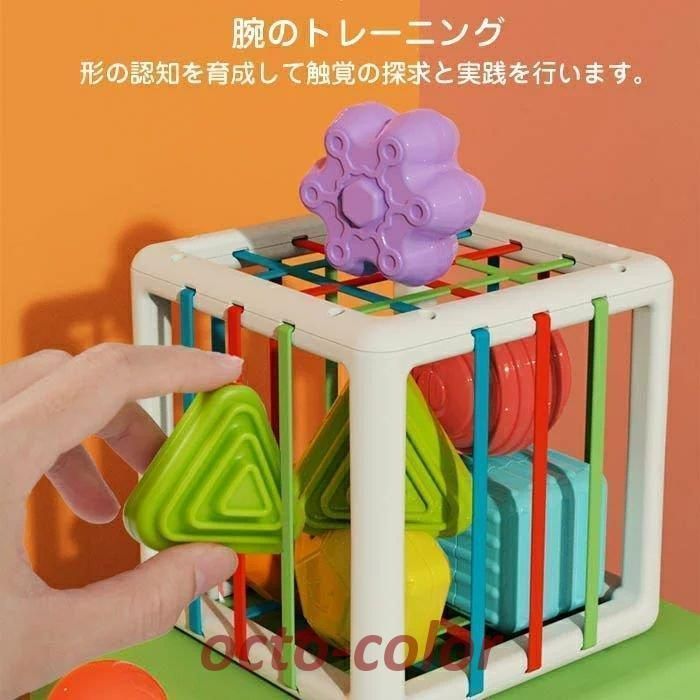 知育