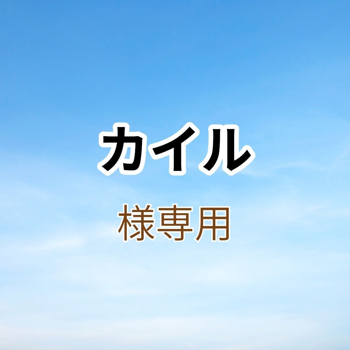 専用出品です。 専用出品】 メルカリで「専用出品」になっている