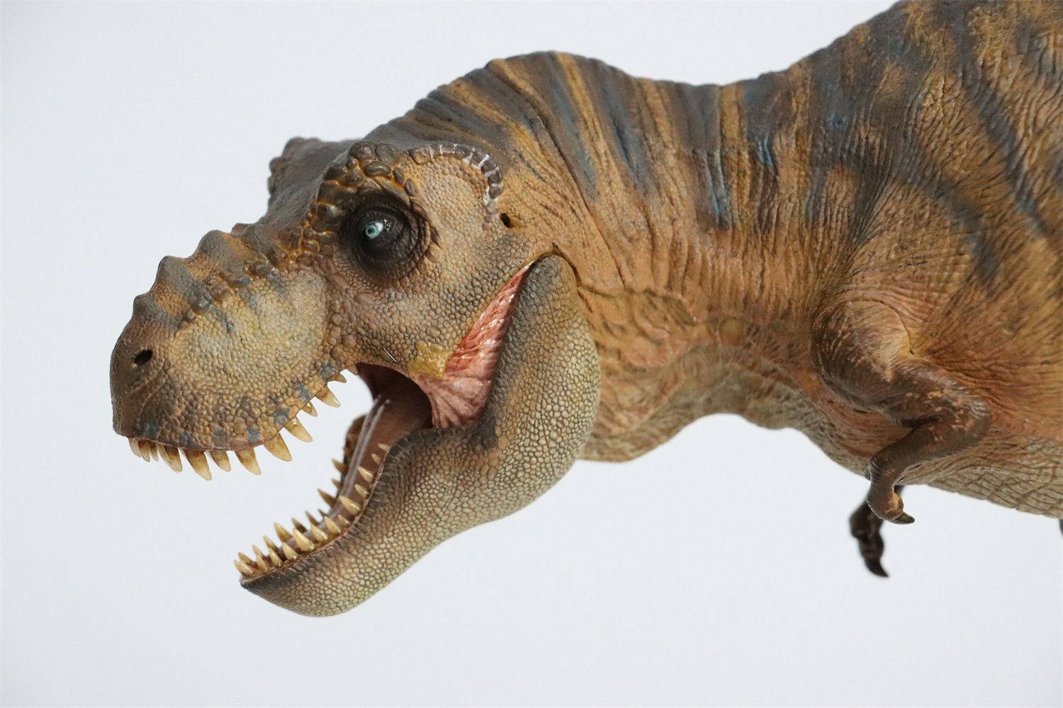 Nanmu 本心楠改 1/35 サイズ ティラノサウルス レックス King T