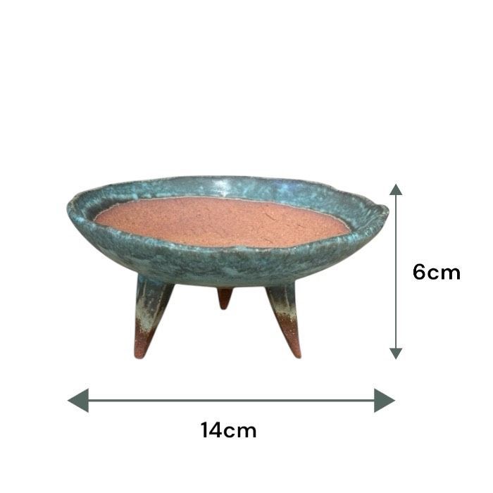 信楽焼 4.5号 青竹釉高足付浅鉢 盆栽 盆栽鉢 盆栽 苔 皿型 古典 国産