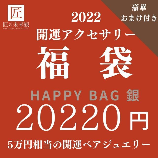 アクセサリー福袋レディース ブランド ペア お得 アクセサリー 女性 お得 おしゃれ 可愛い 寅年 寅 トラ 虎 シンプル 錆びない