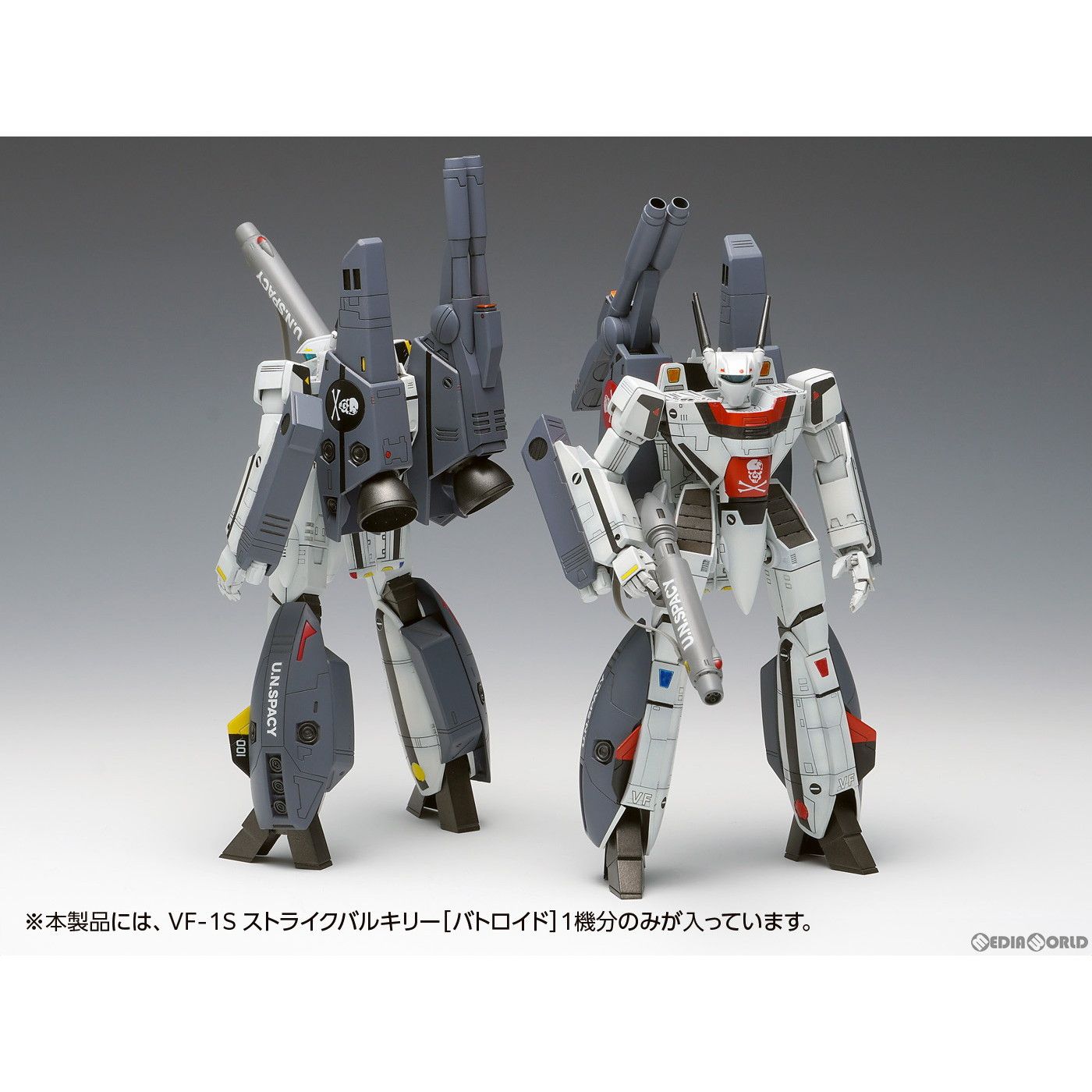 1/100 VF-1S ストライクバルキリー[バトロイド] 一条輝機、ロイ