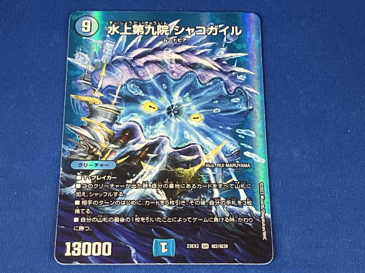 超希少　巨大シャコガイ 希少】特大天然オオシャコガイ 約78cm約30kg コレクション