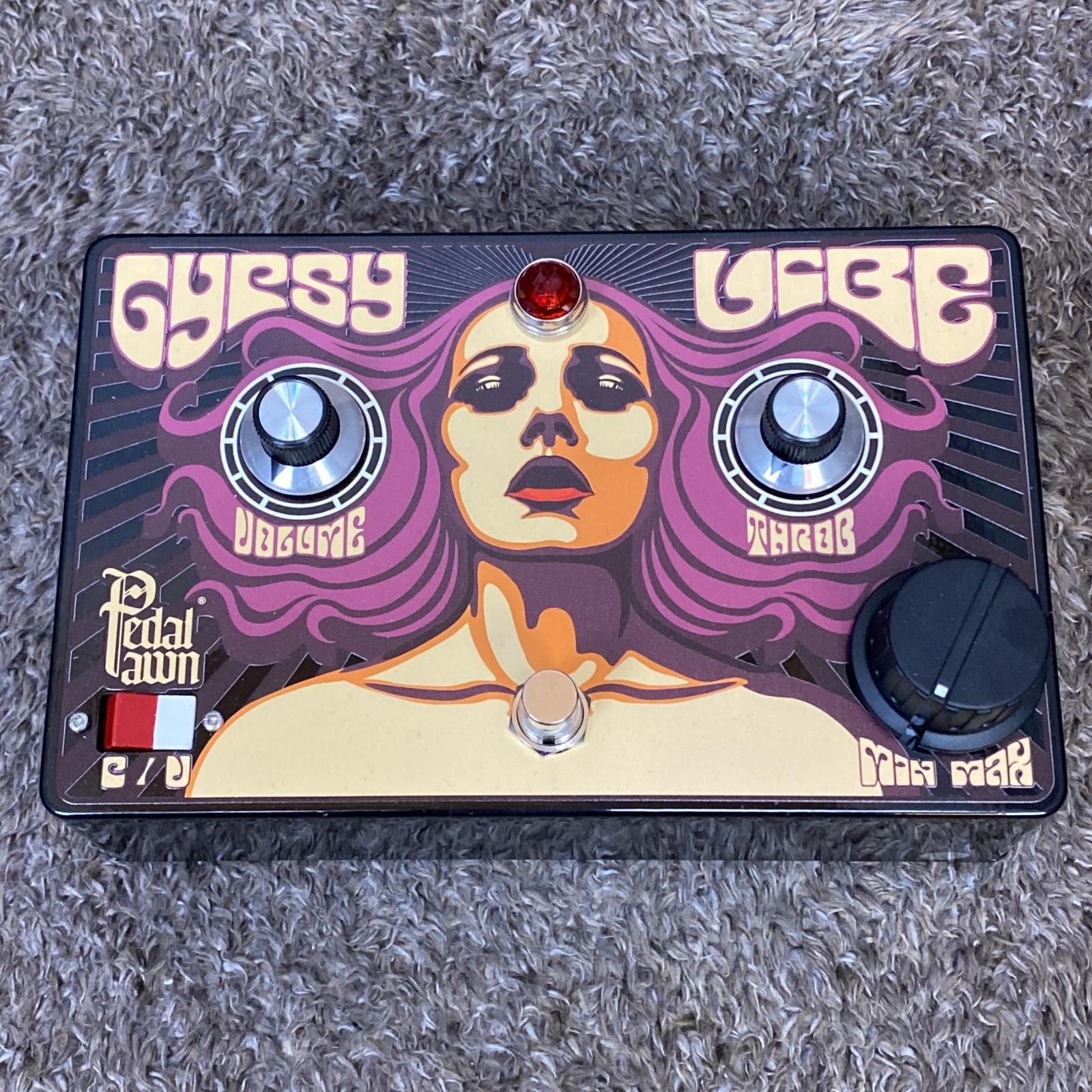 尾張小牧店】【楽器】 中古 エフェクター GYPSY VIBE V2 Pedal Pawn  