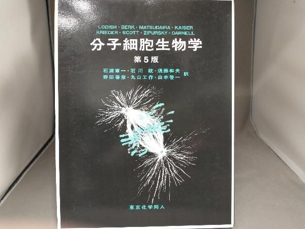 分子細胞生物学 第5版 H.ロディッシュ - メルカリ