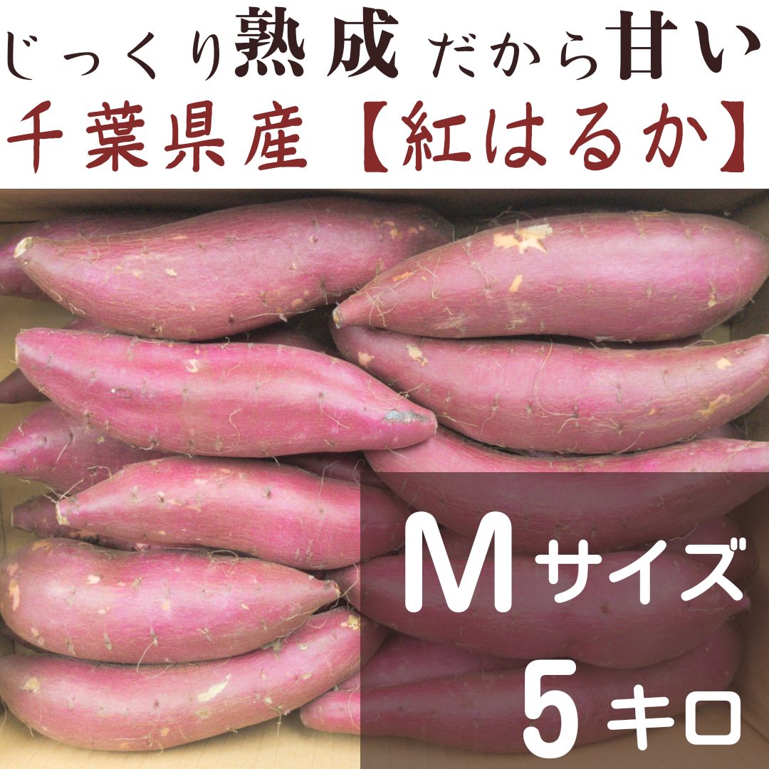 特価ブランド 千葉県産紅はるかM 5㎏ 5 食品