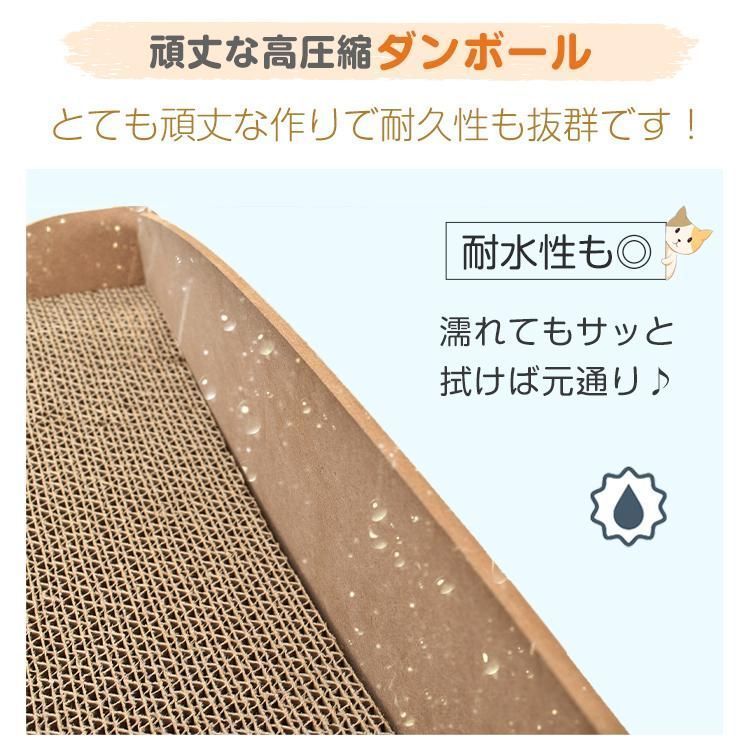 猫箱