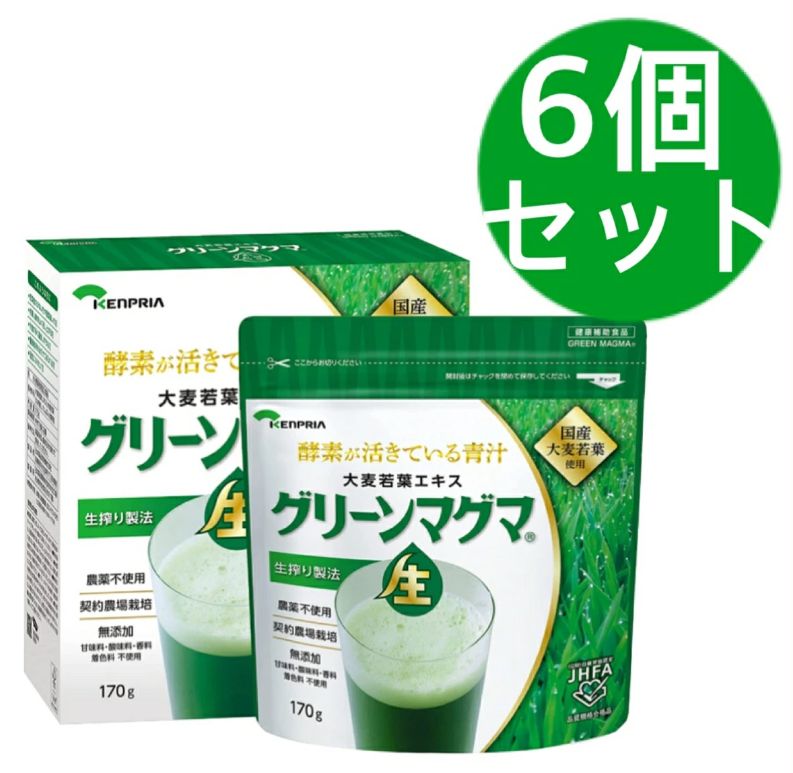 グリーンマグマ 170g (#642660) ×6個セット