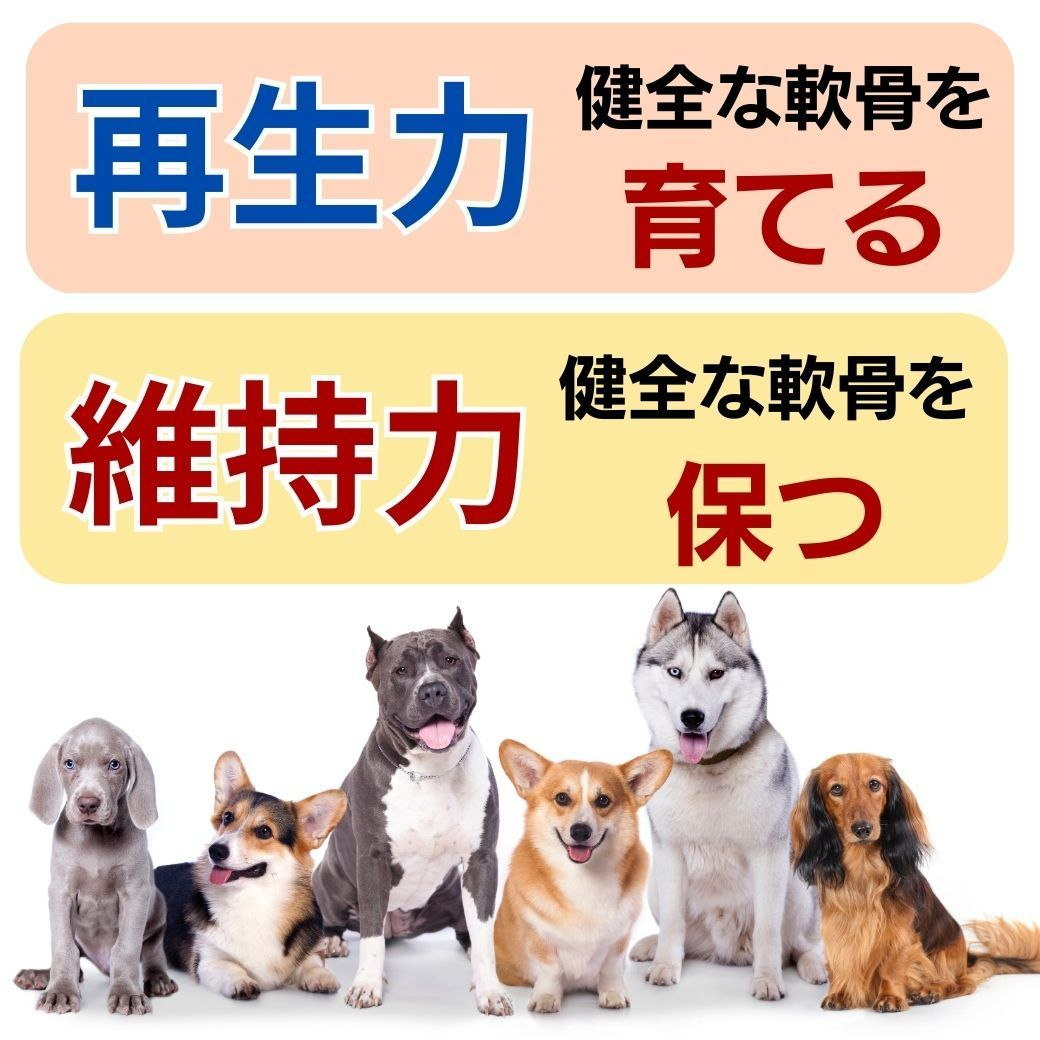 犬用品 コラーゲン パワーバランス(顆粒) 30本入り 犬
