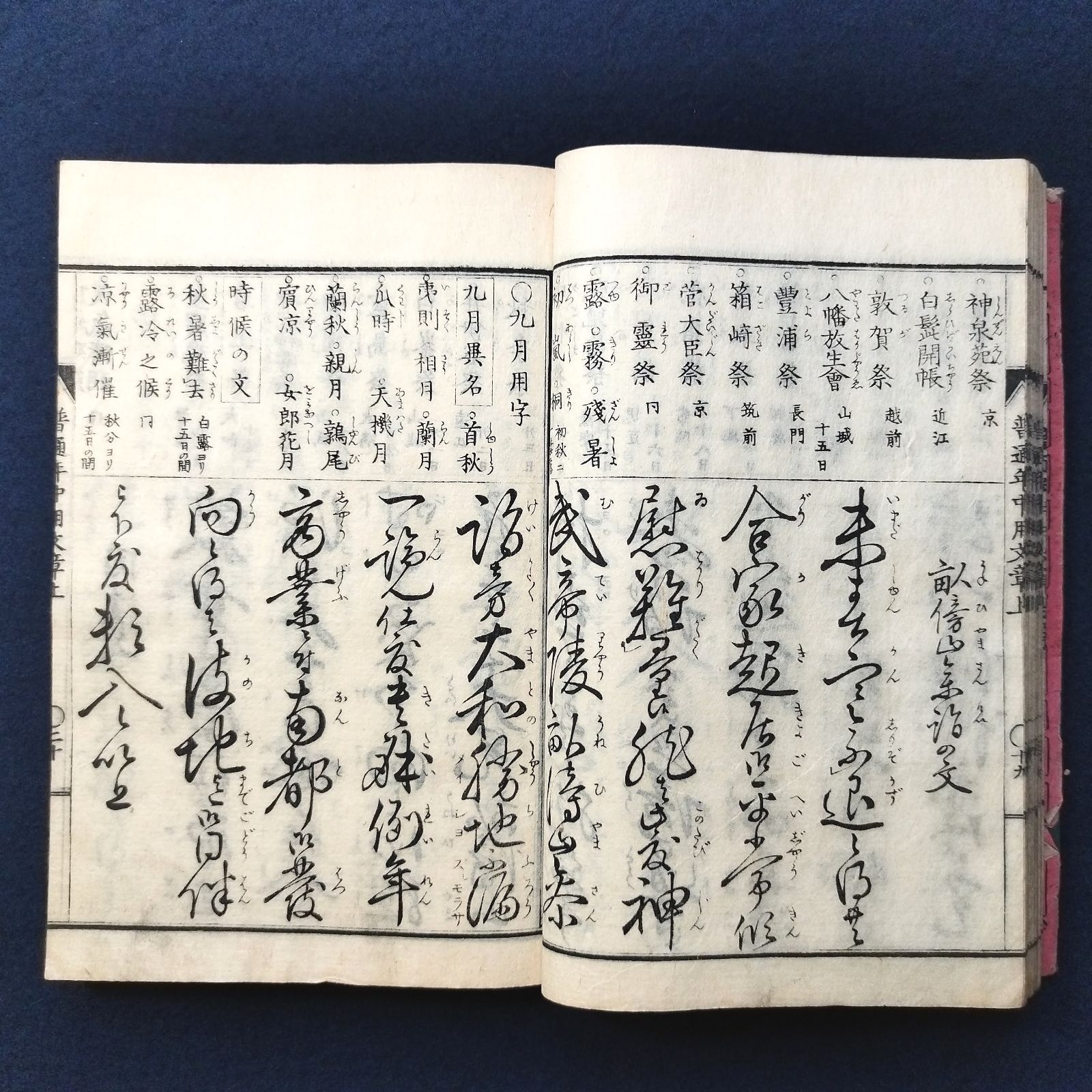 往来物◇普通年中用文章◇乾 寺子屋 書道 手本 実用文 平井義直書 明治 時代物 アンティーク コレクション 一閑張 和紙 木版 資料 古典籍 古文書  和本 古書 和本～江戸屋～ - メルカリ