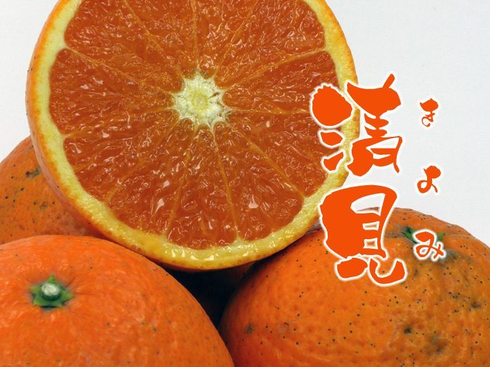 濃厚美味・濃縮還元してない清見ジュース500ｍｌ×6本 メルカリShops