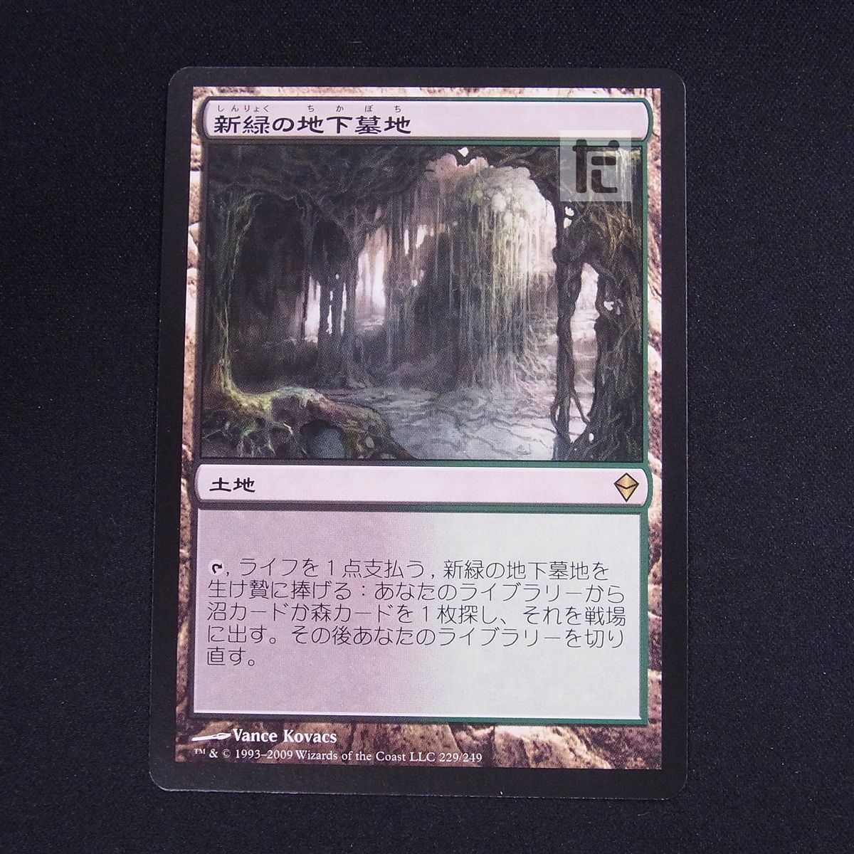 MTG 新緑の地下墓地/Verdant Catacombs 4枚 エッチング-