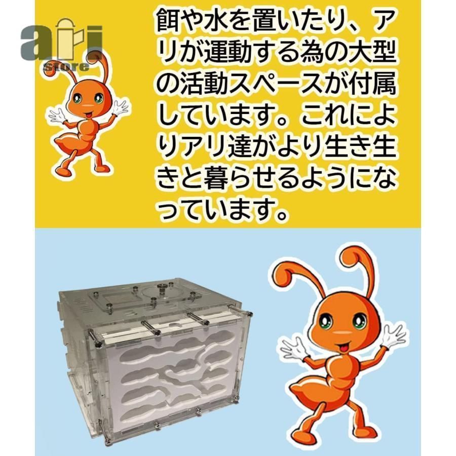 アリ飼育キット 石膏製巣箱 透明アクリル製ケース アリの巣観察