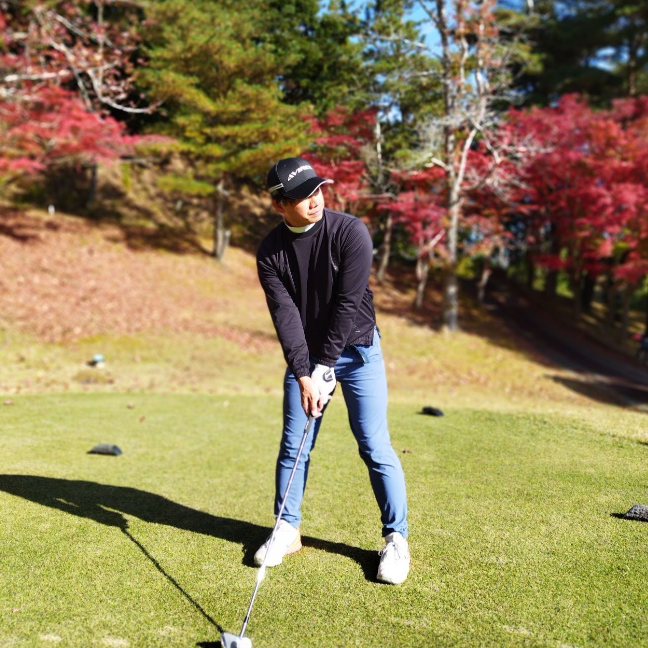 AVIREX GOLF アヴィレックス ゴルフ MA1風 中綿ジャケット AVG2F-AP1