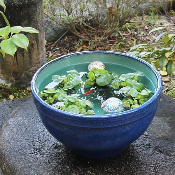 信楽焼 陶器 水鉢 メダカ鉢 金魚鉢 睡蓮鉢 13号ナマコ色水鉢 su-0252