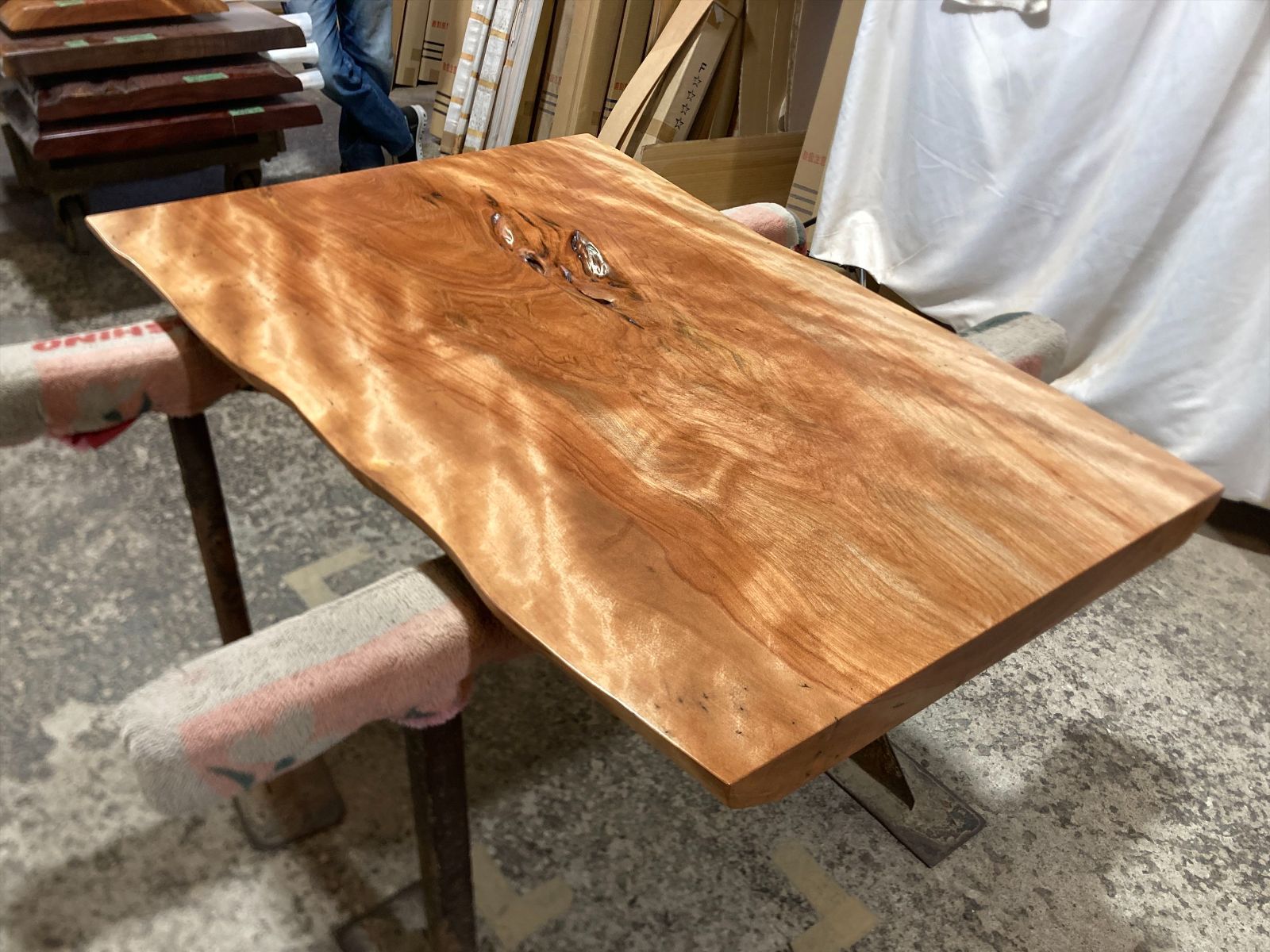 トチ9297 トチの木