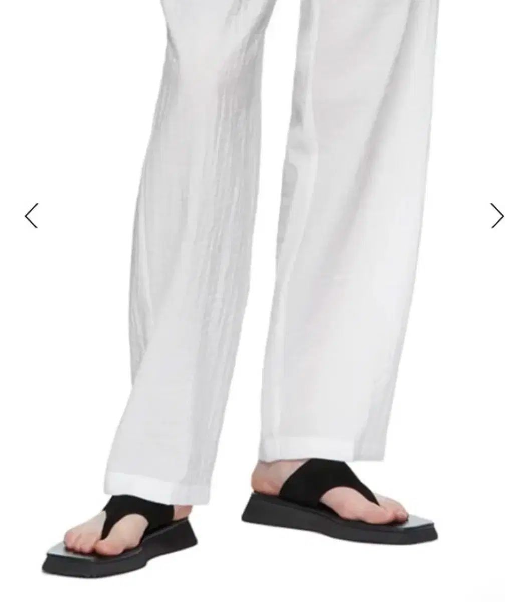 SOPHIA ツアーDVDとツアー写真集（CD付き）の豪華6点セット