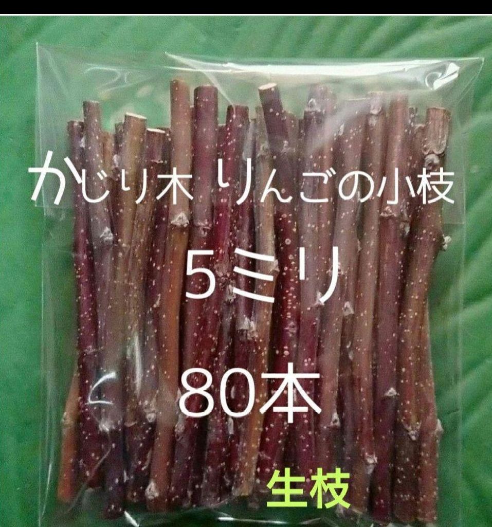 ICEBERG様】専用りんごの枝 かじり木 約5kg 0511 - 小動物用品