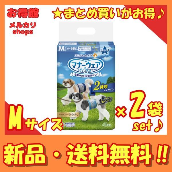 スノボ 初心者6点セット スノーボードウェア 上下 スノボケース 帽子 他